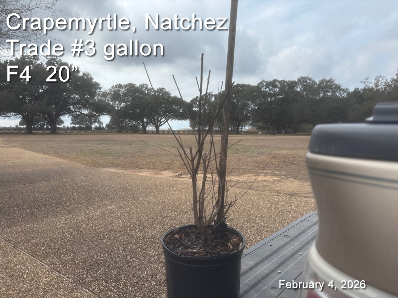 gallery/cnz3t f4 feb4.jpg